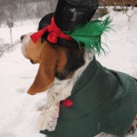 Christmas Caroler Dog Costume